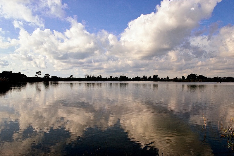 reflecting clouds