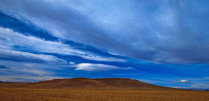 Barbara Schultheis - open field