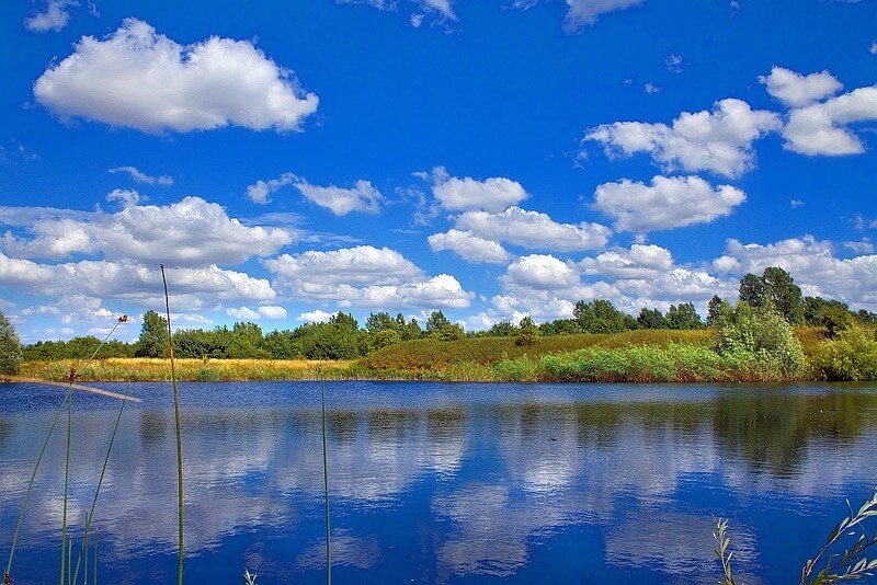 Robert Felton - Summer Clouds