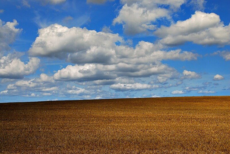 Richard Watkins - Field, Sky and Clouds