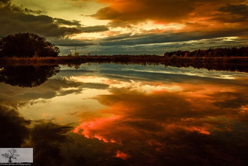 Robert Felton - Dog Farm Lake Cloudscape