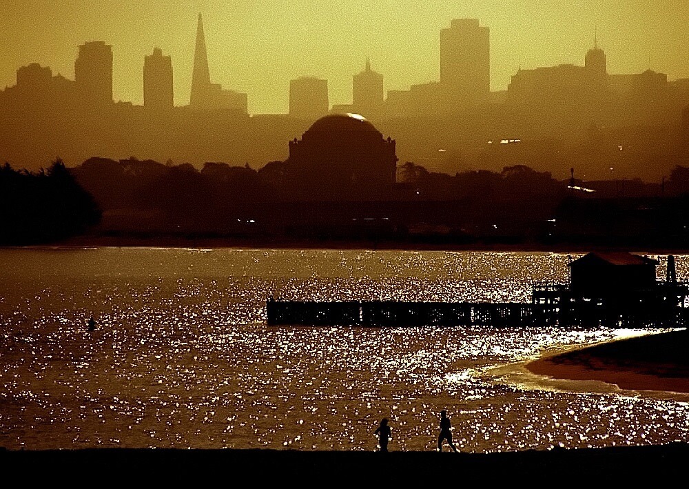 David Ohmer - San Francisco Skyline & Palace of Fine Arts