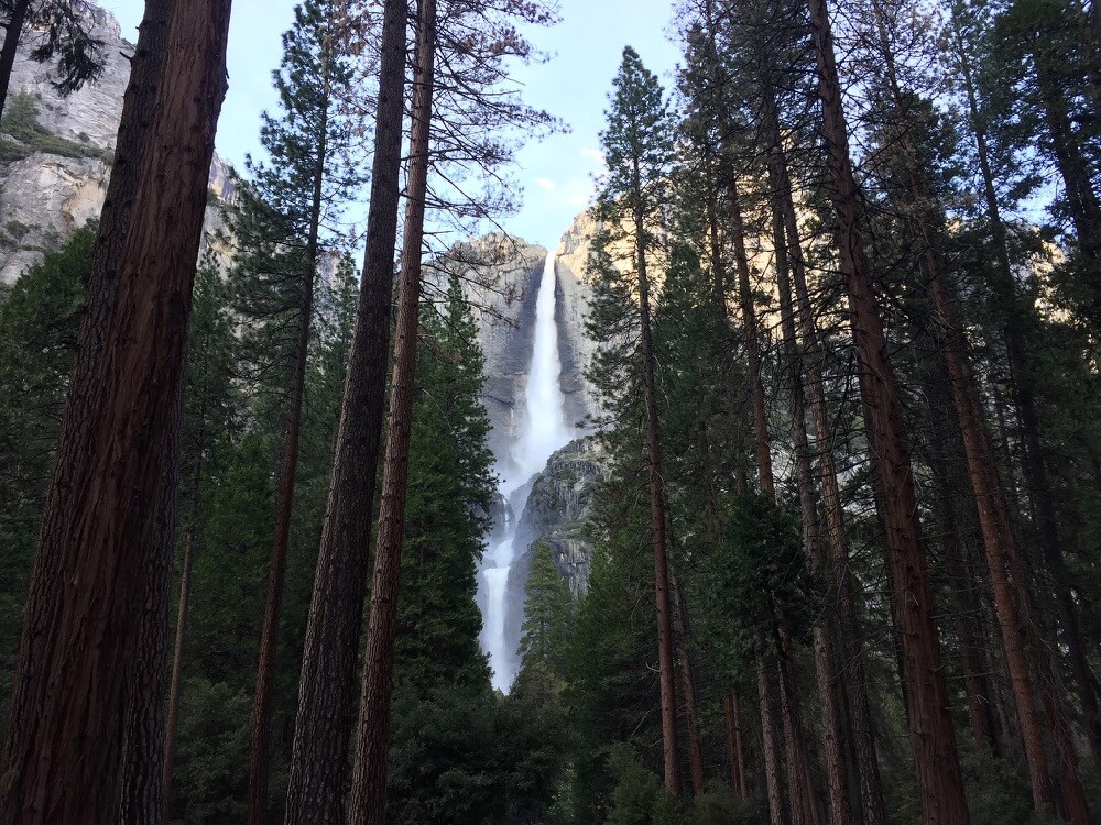 calamity_sal - Yosemite Falls