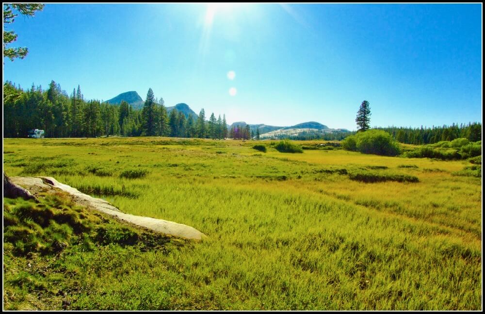 Don Graham - Tuolumne Meadows, Yosemite High Country