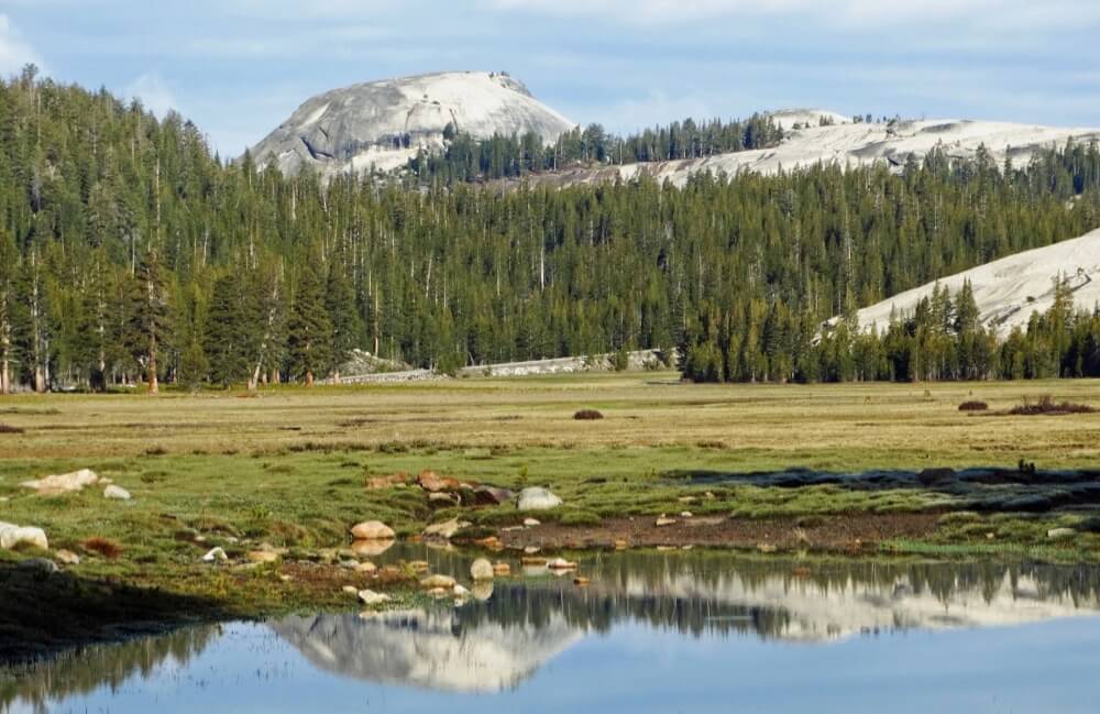 Bala Sivakumar - Tuolumne Meadows