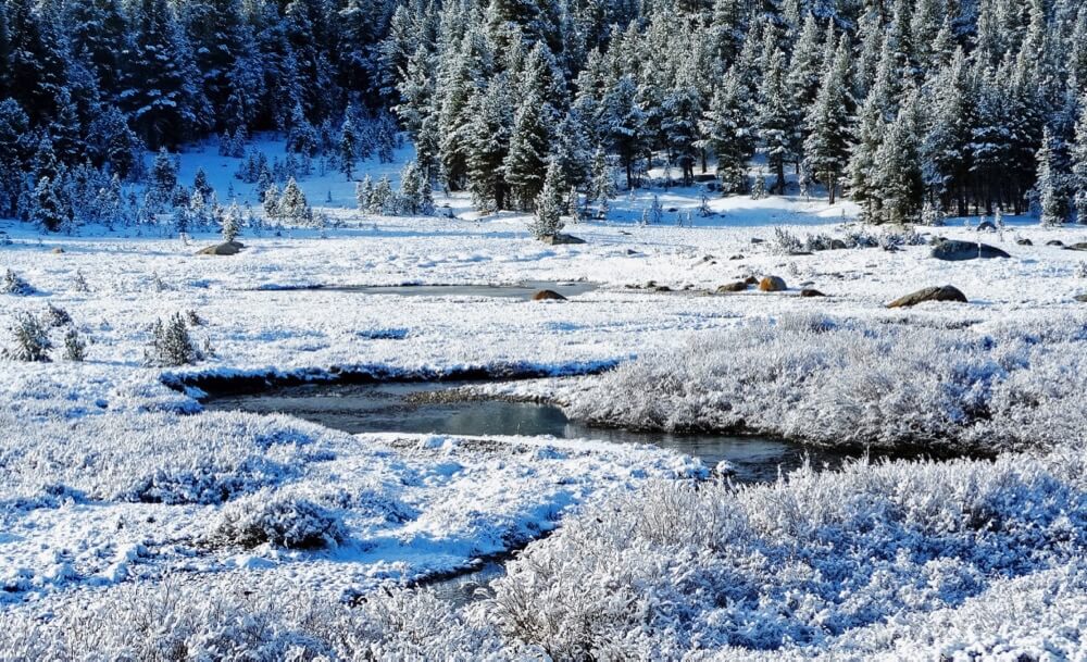 Don Graham - Frosty Morning, Tuolumne Meadows, Yosemite