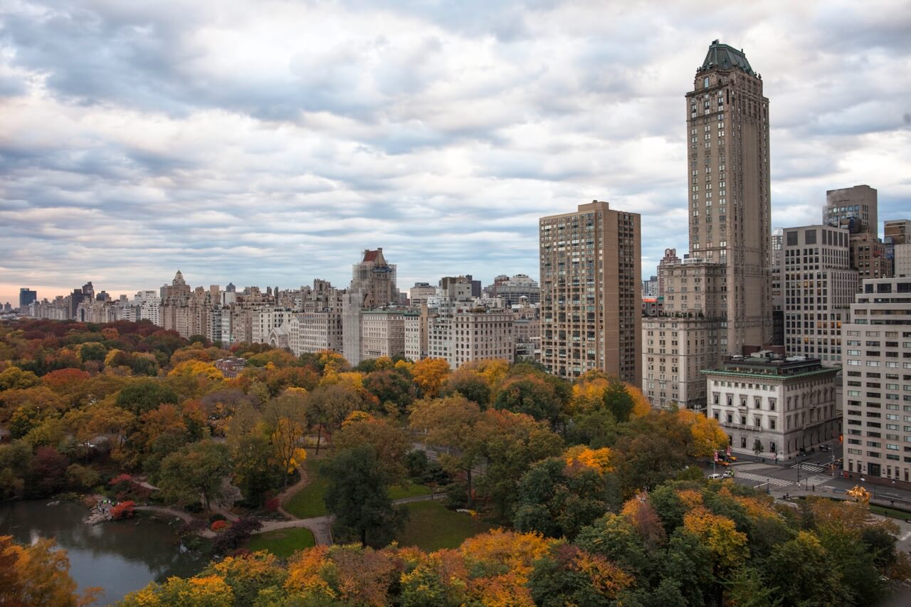 Jimmy Baikovicius - Central Park