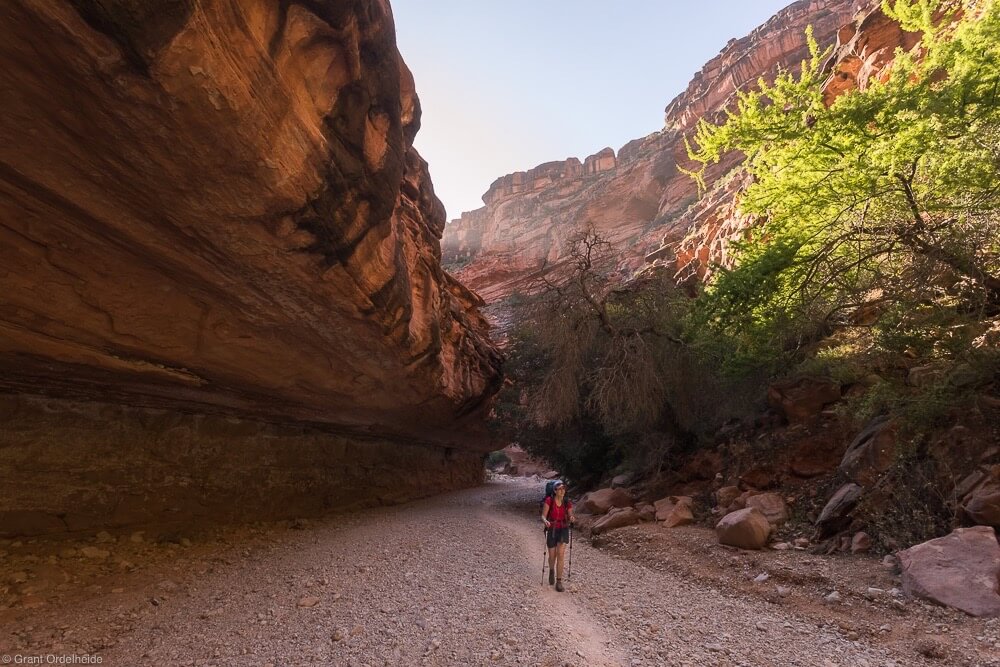 canyon havasupai