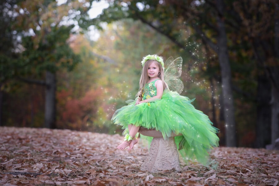 fairy dust photoshop