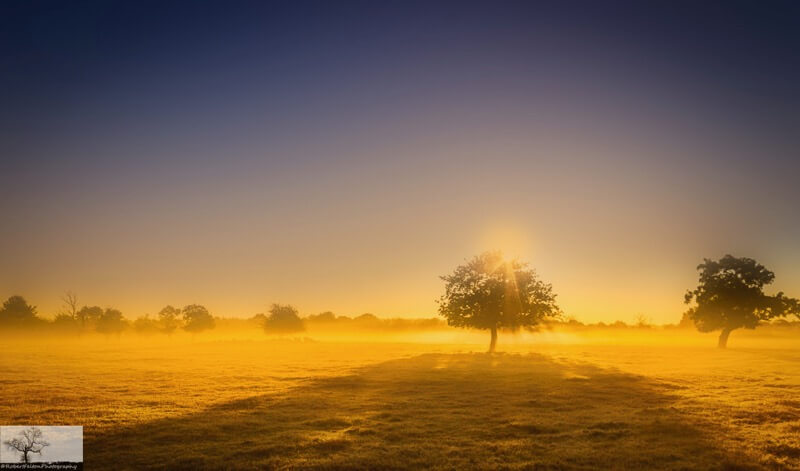 Cardington/Cople, Bedfordshire - Robert Felton