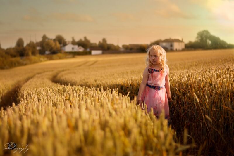 wheat fields portrait