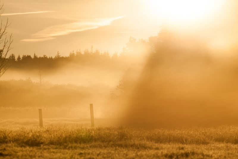 morning fog