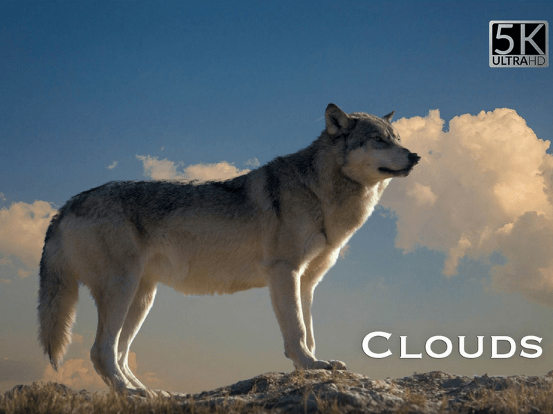 cloud photo overlay