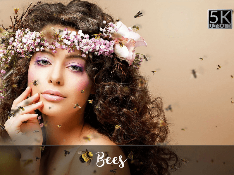 bees photo overlay