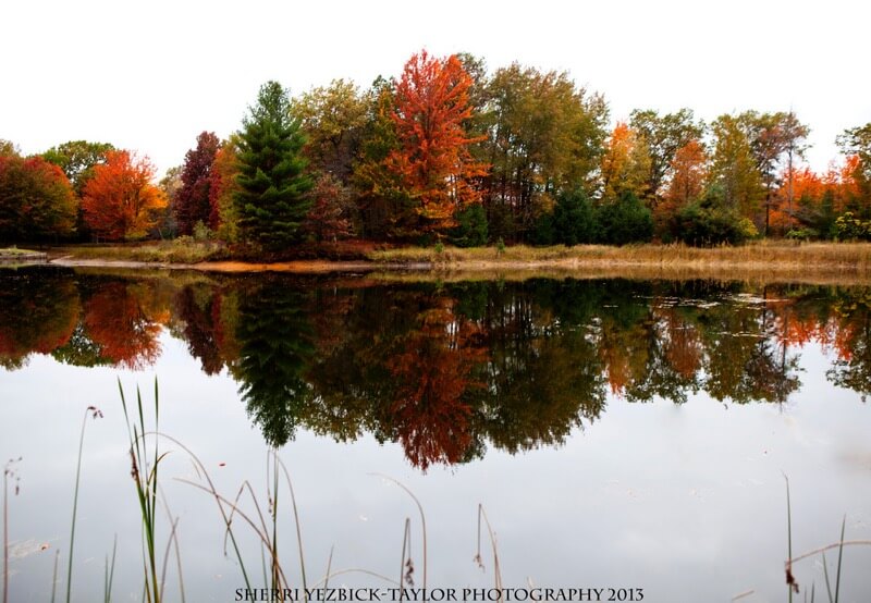 Sherri Yezbick-Taylor Fall Michigan