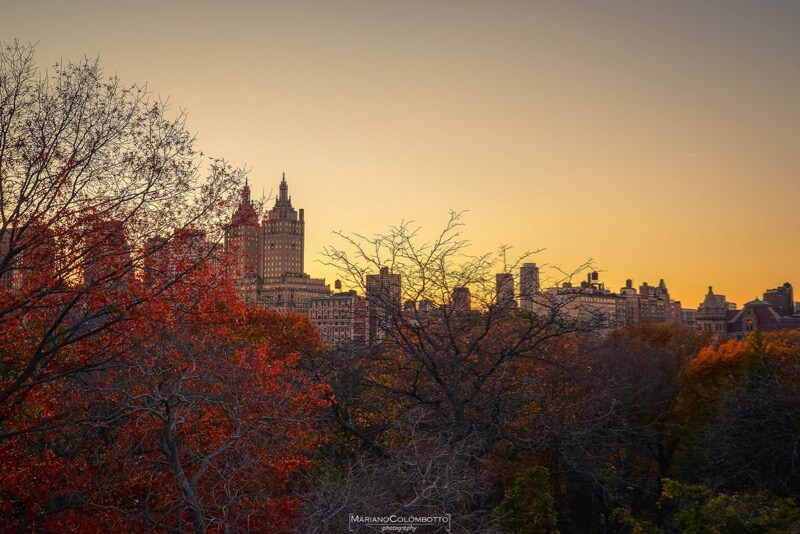 Mariano Colombotto new york autumn