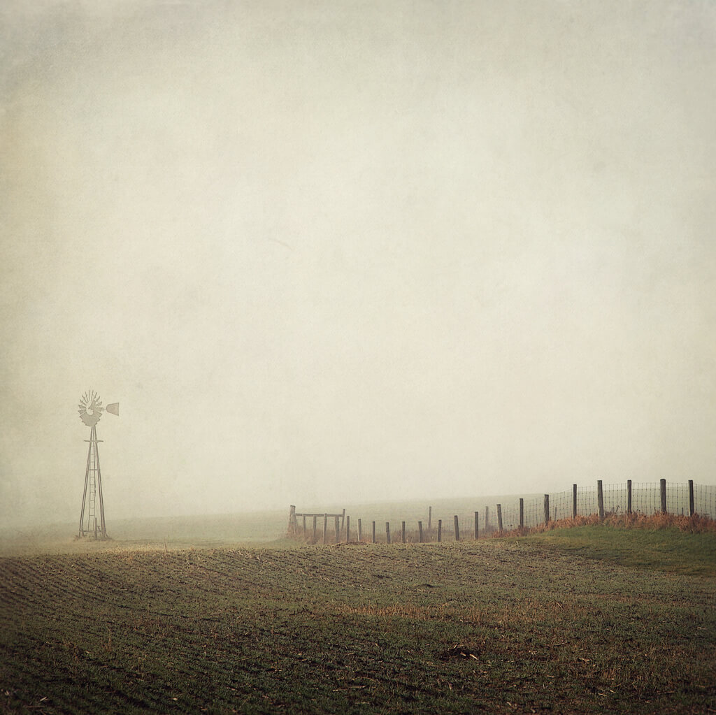 Robb North - morning mist windmill