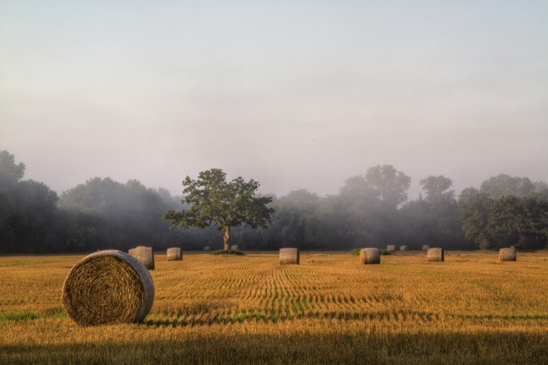 hay bales