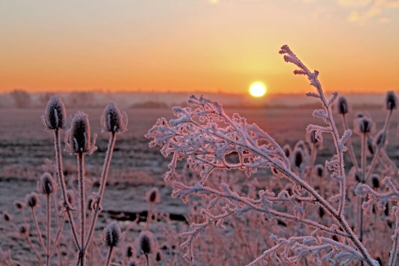 Robert Felton - Heavy Frost