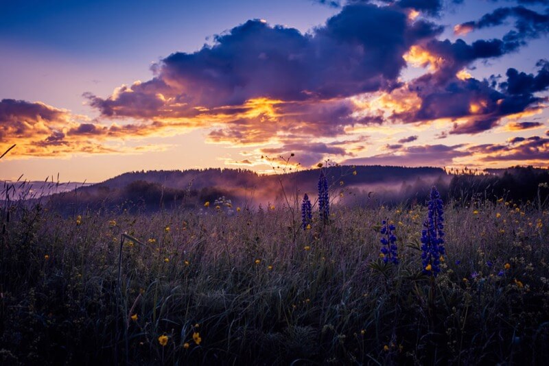 Sweden, Värmland