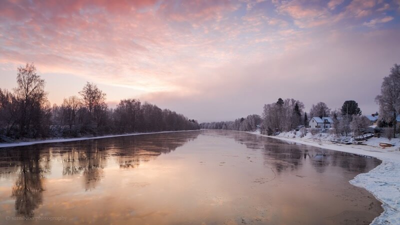 winter landscape