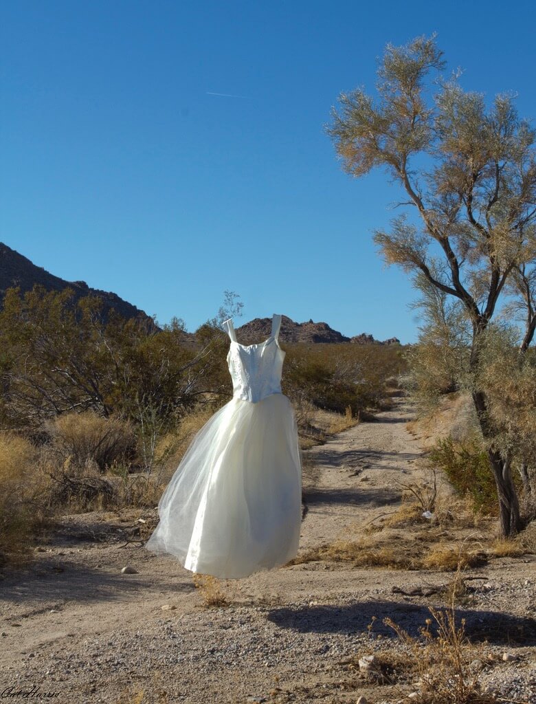 Desert Floating Dress