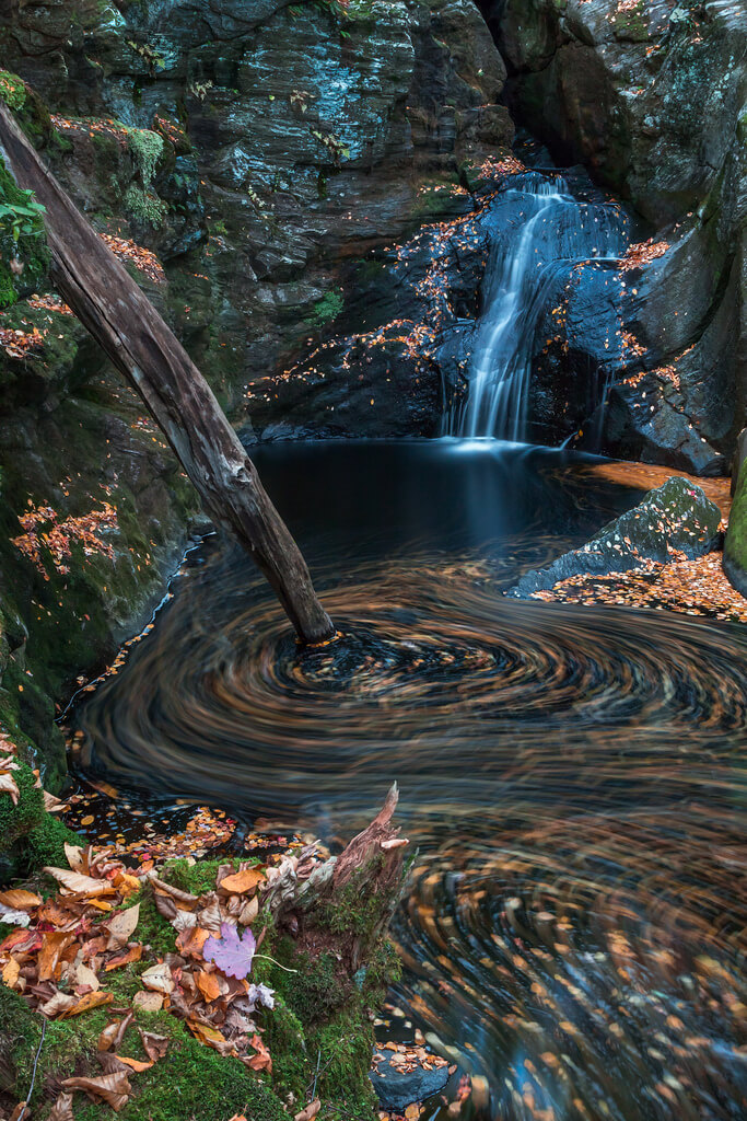 ilirjan rrumbullaku - Leaves on the Water