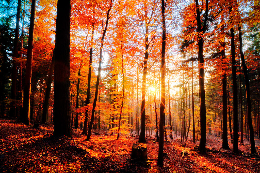 Odenwald, Germany