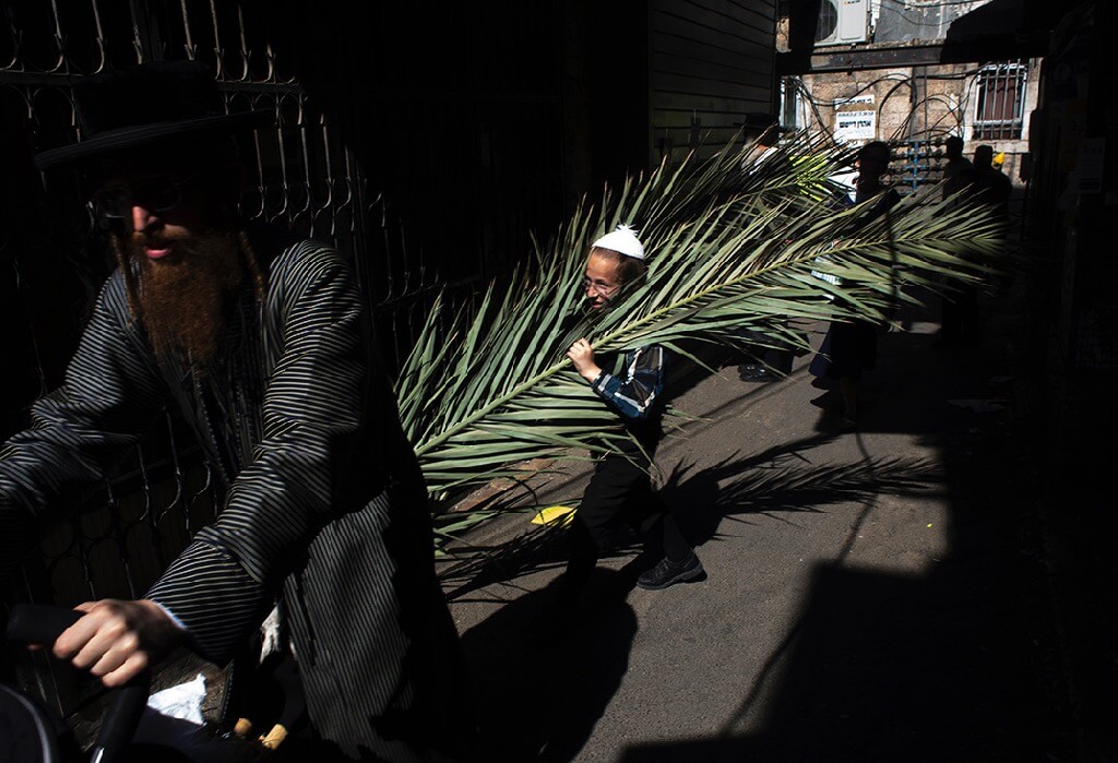 ilan Ben yehuda man carrying fronds