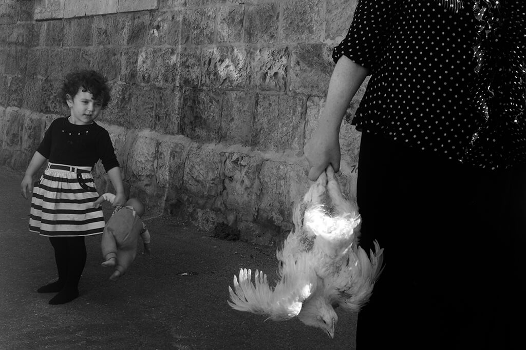 ilan Ben yehuda woman holding chicken