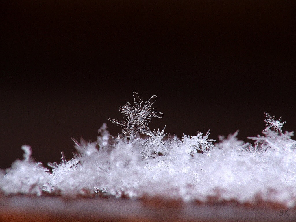 snow close-up