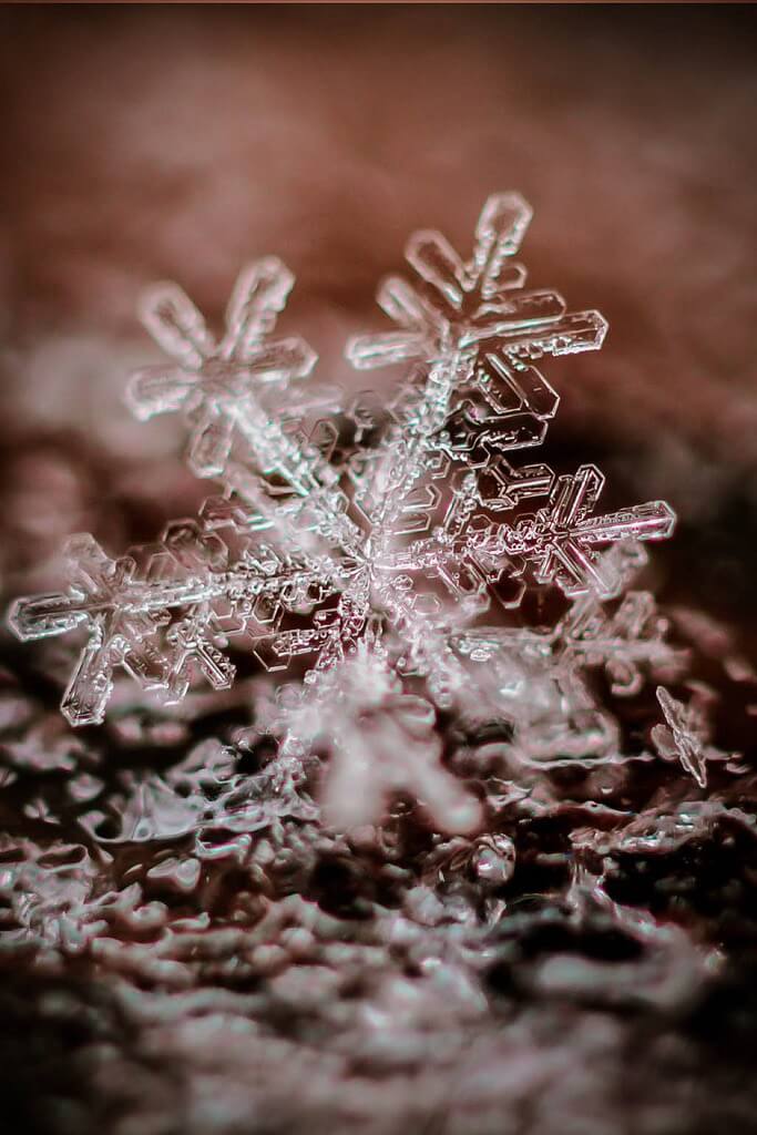 snowflake texture