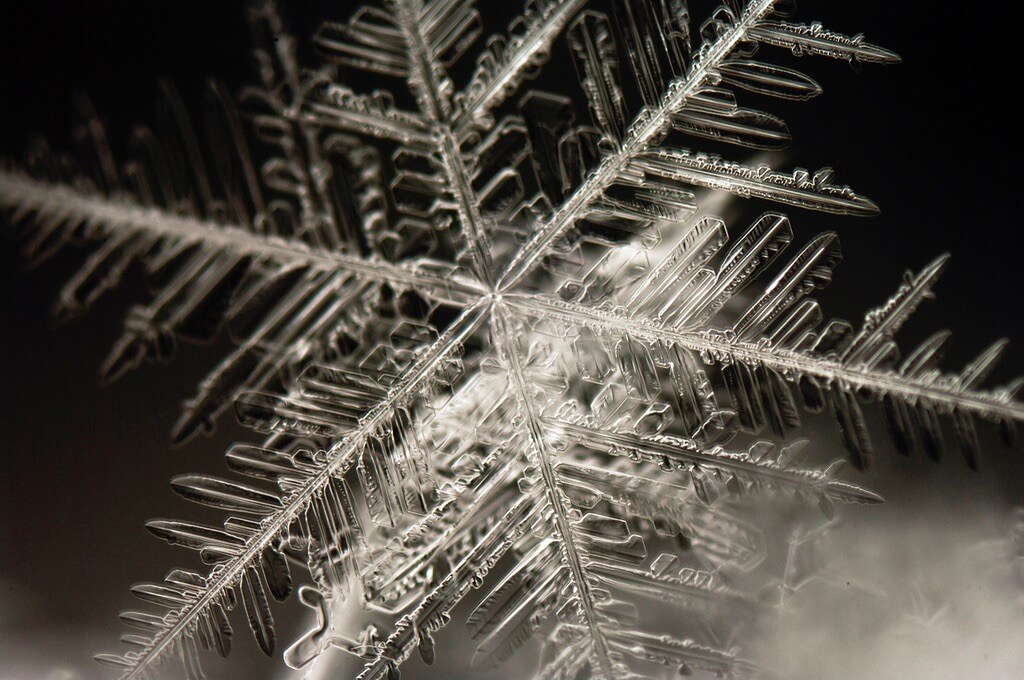 snowflake macro