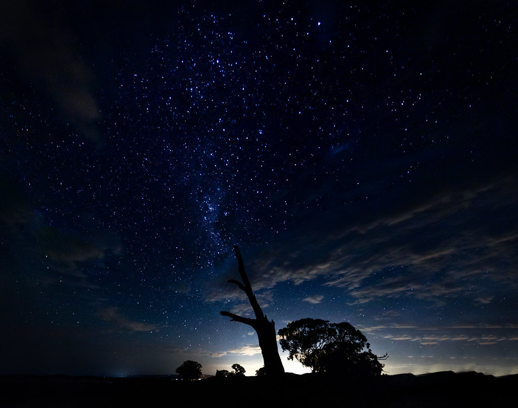 Nerissa Turner - night sky silhouette