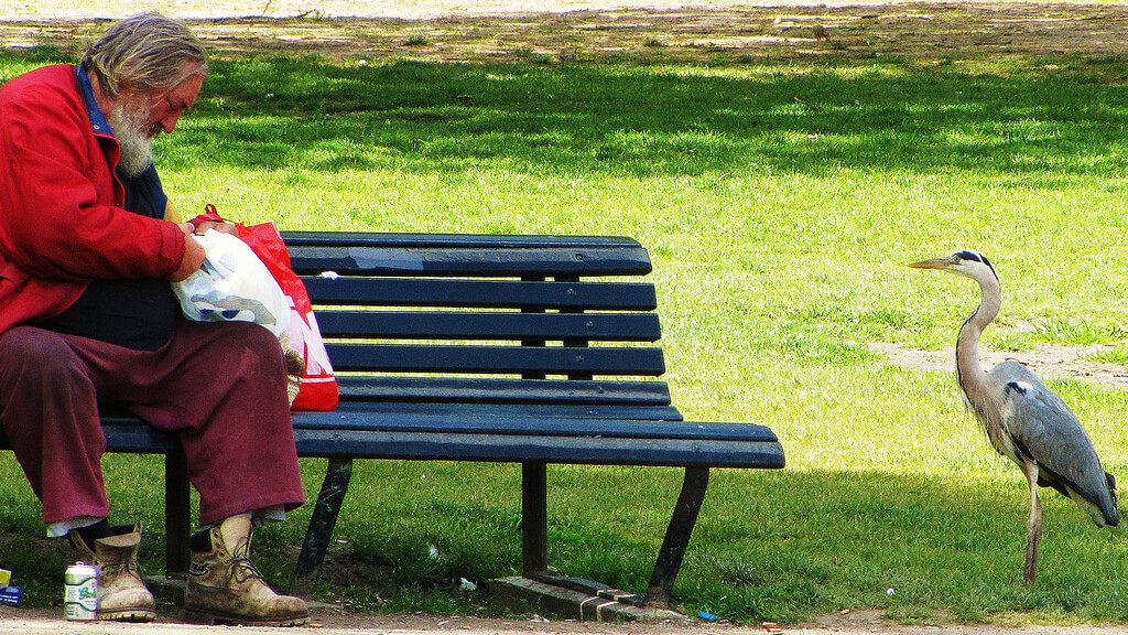 Barbara Walsh - Vondelpark