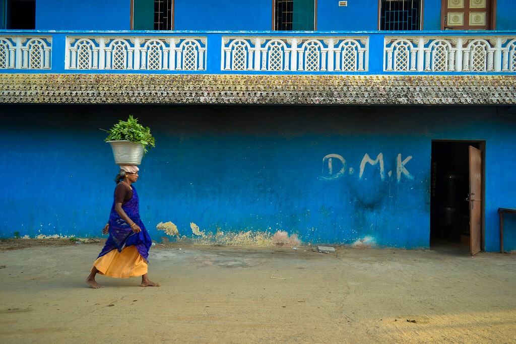 Gokulnath - Blue street