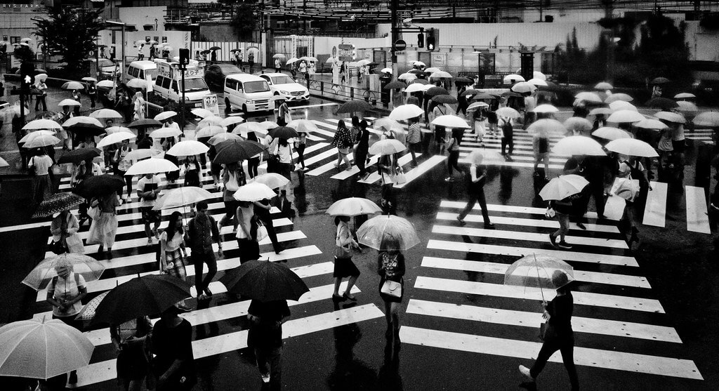 Shirren Lim - Tokyo crosswalk