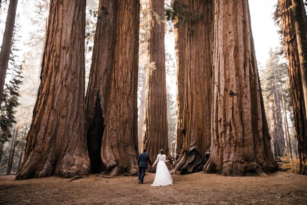 Hearnes Photography - adventure elopement forest