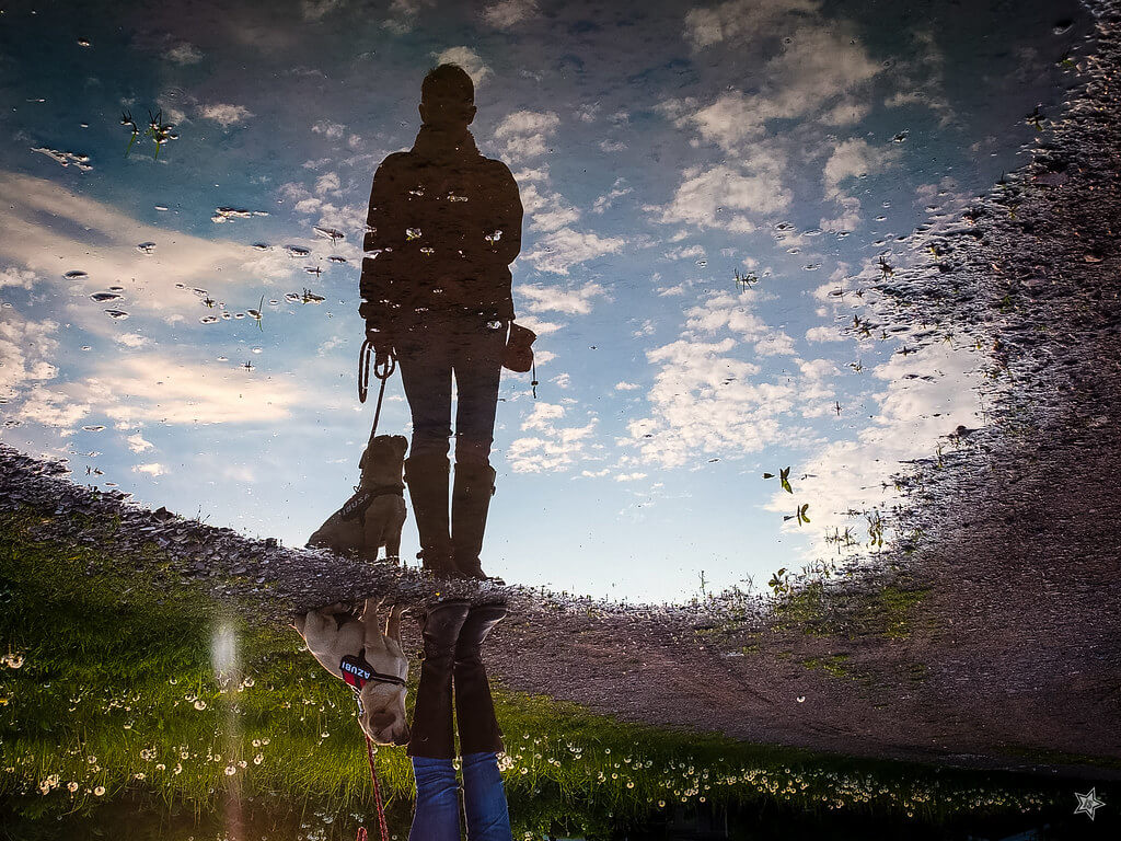 Jörg Schubert - puddle reflection