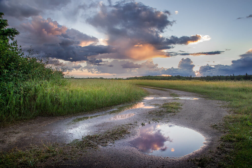 Chris Collins - puddle road