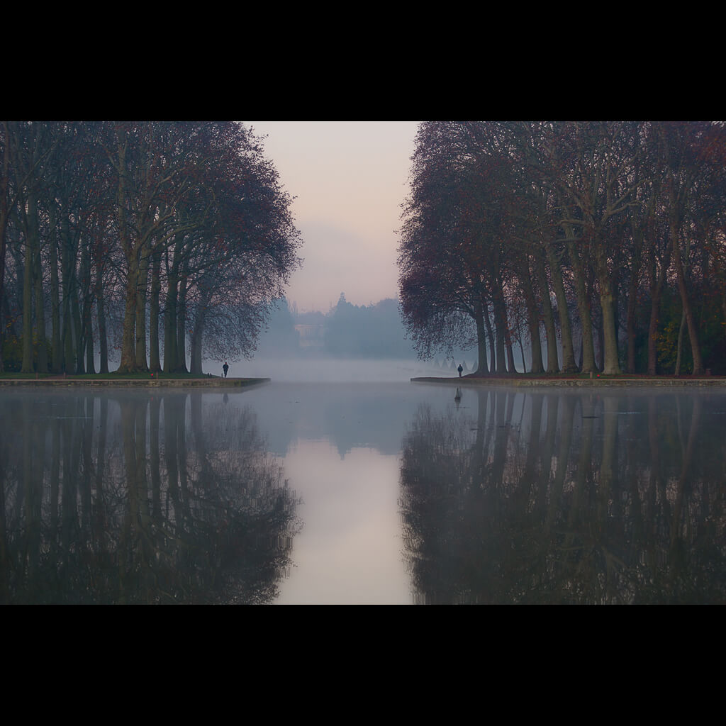 Zed The Dragon - parc de sceaux