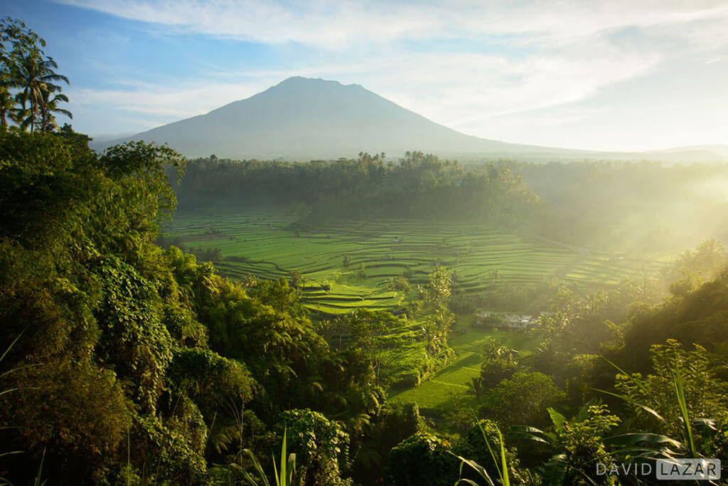 David Lazar - Bali-Mt. Agung Rice Terraces