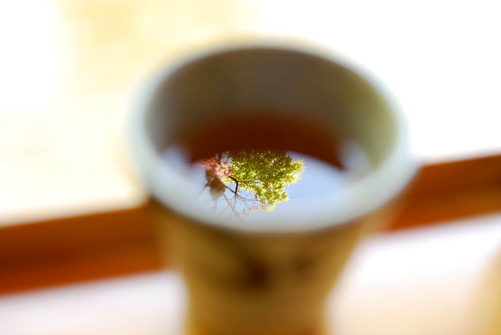 きうこ - maple tree reflection in tea