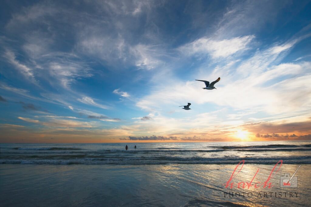 Eric Hatch - Sunset, Siesta Key