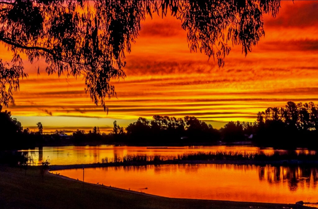 Terence Rutter - Sunset at Beechworth, Victoria, Australia