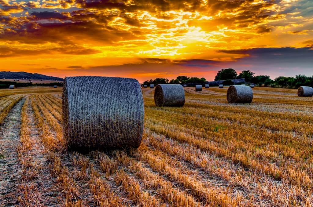 Thomas Thompson hay bales sunset