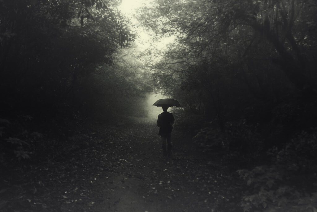 swapnil deshpande - forest walk