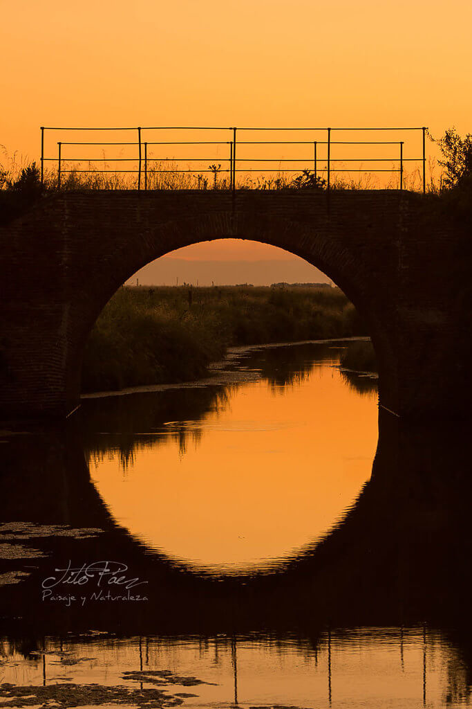 Gerardo "Tito" Paez - bridge reflection