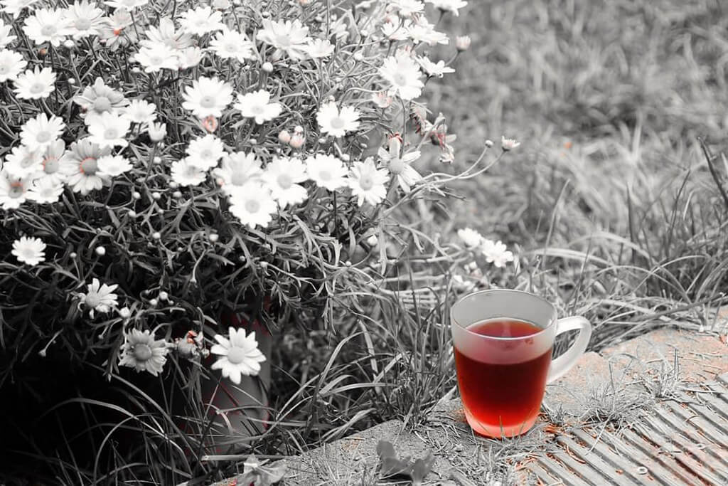 khaled eyes - tea and flowers