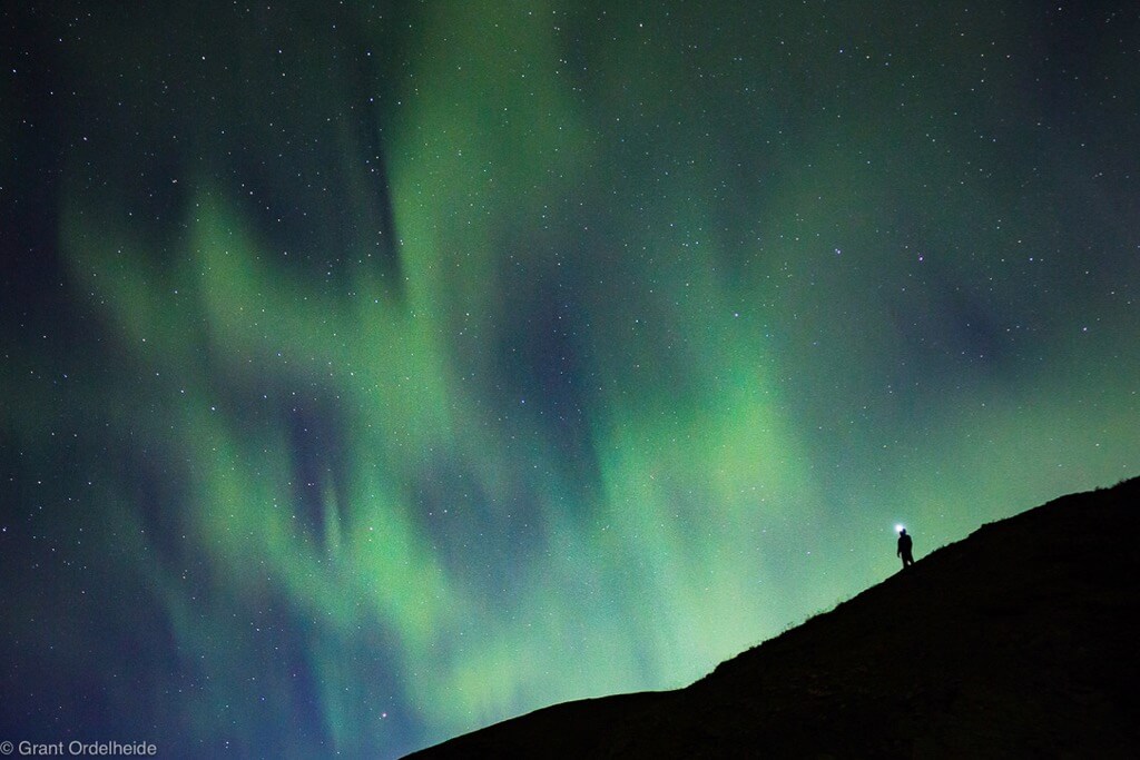 Grant Ordelheide - A person enjoys the northern lights over Denali National Park in Alaska